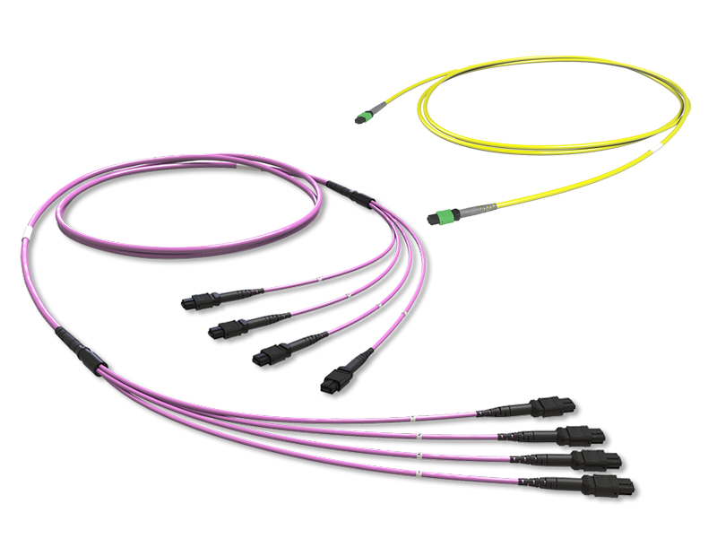 trunk-link-mtp